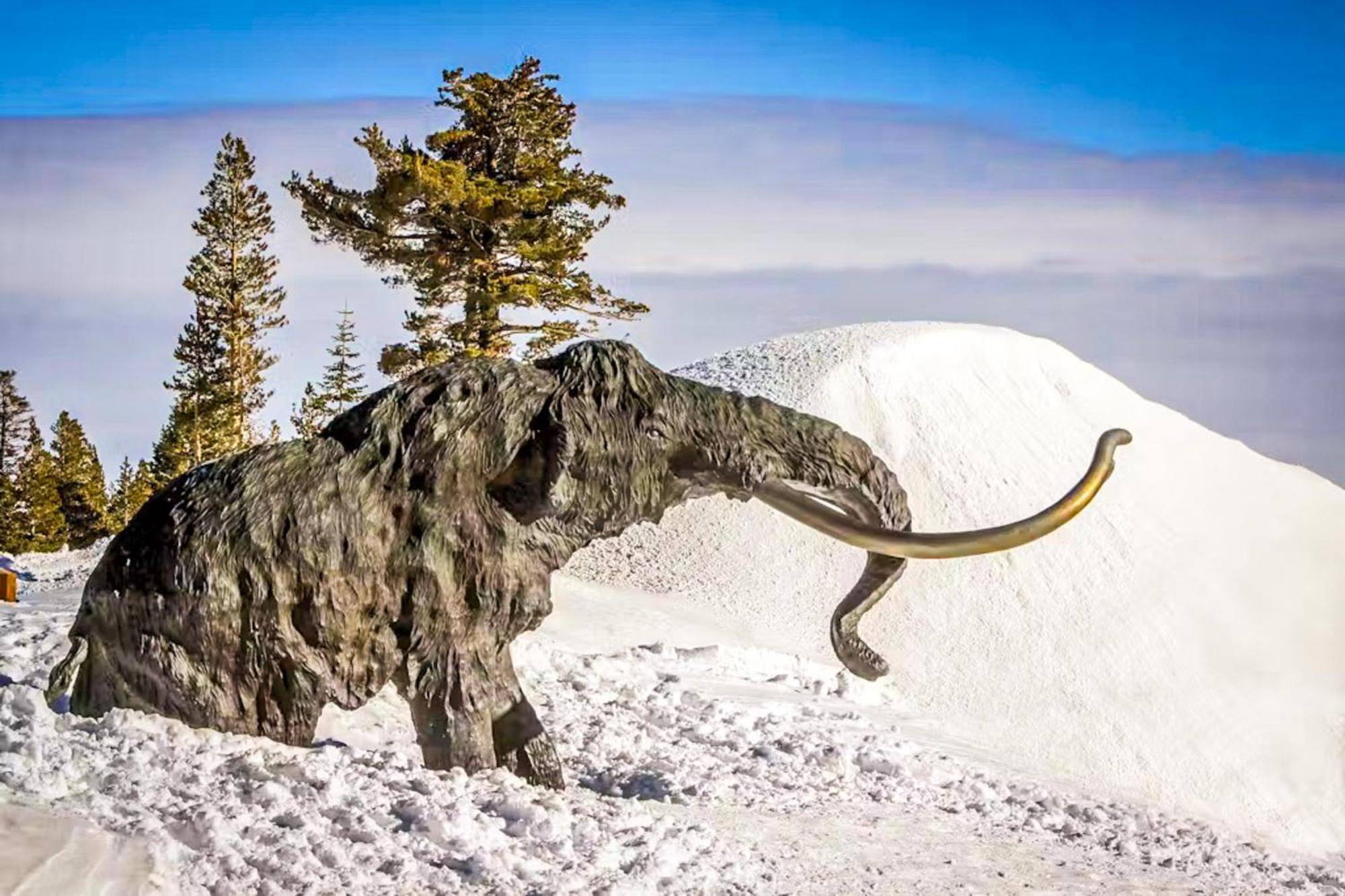 Discovery 4 119 Mammoth Lakes Dış mekan fotoğraf